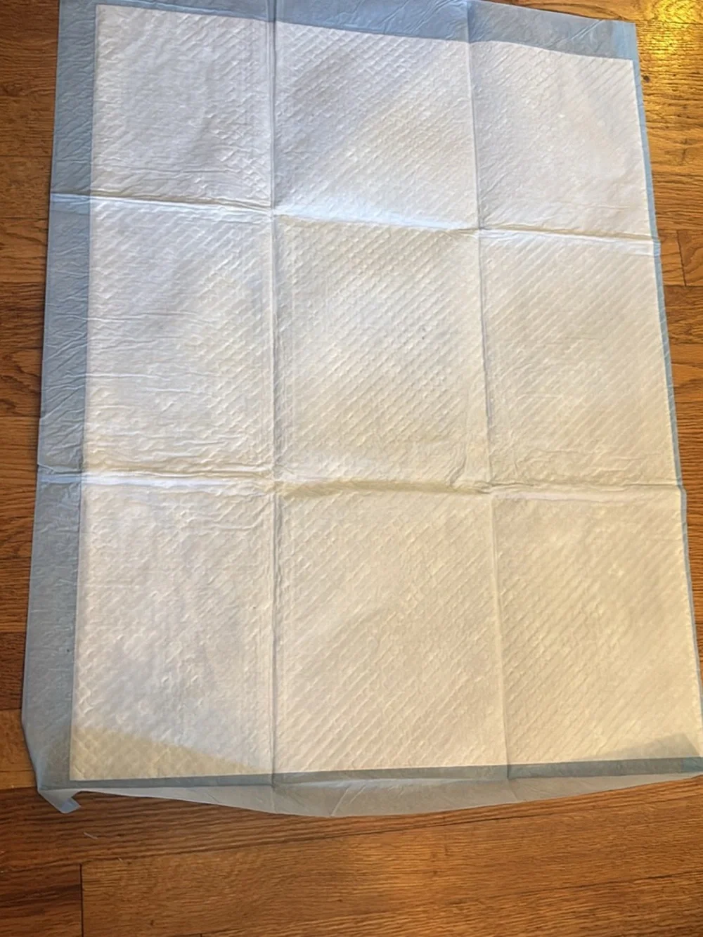 Disposable Pet Training Pads - 2 sizes